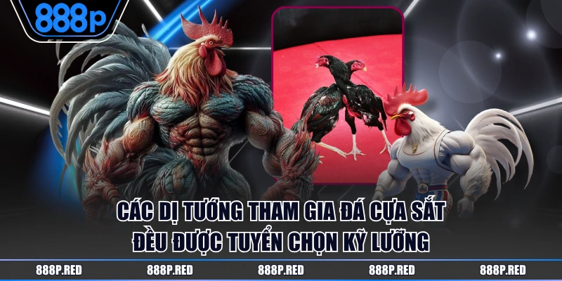 Lý Do Đá Gà Cựa Dao Được Nhiều Người Hâm Mộ Yêu Thích? 4 Các dị tướng tham gia đá cựa sắt đều được tuyển chọn kỹ lưỡng