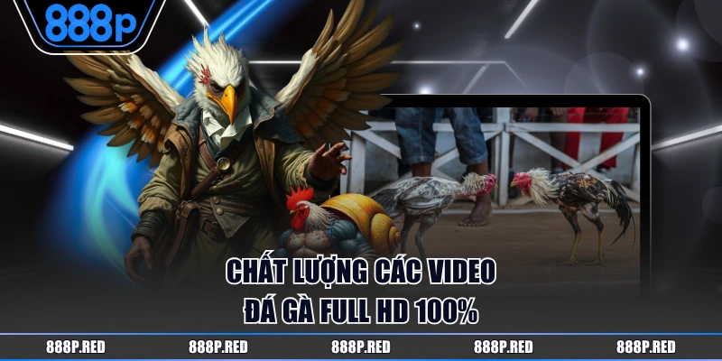 Sảnh WS168 Đá Gà Trực Tuyến Hot Nhất Tại Nhà Cái 888P 4 Chất lượng các video đá gà full HD 100%