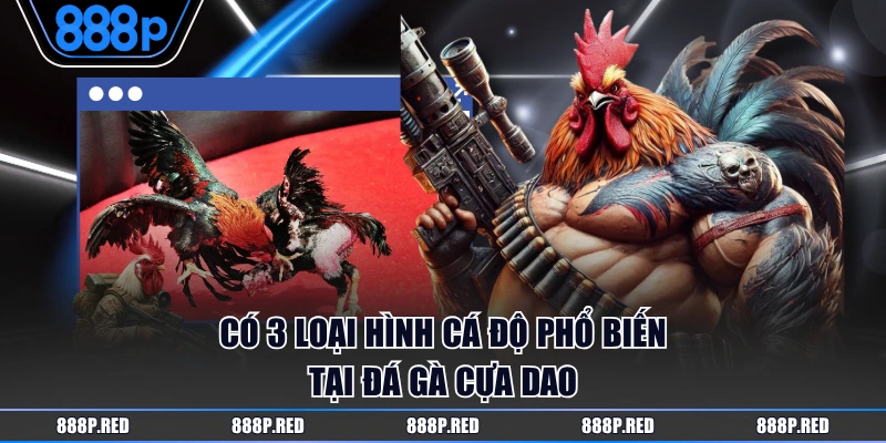 Lý Do Đá Gà Cựa Dao Được Nhiều Người Hâm Mộ Yêu Thích? 3 Có 3 loại hình cá độ phổ biến tại đá gà cựa dao