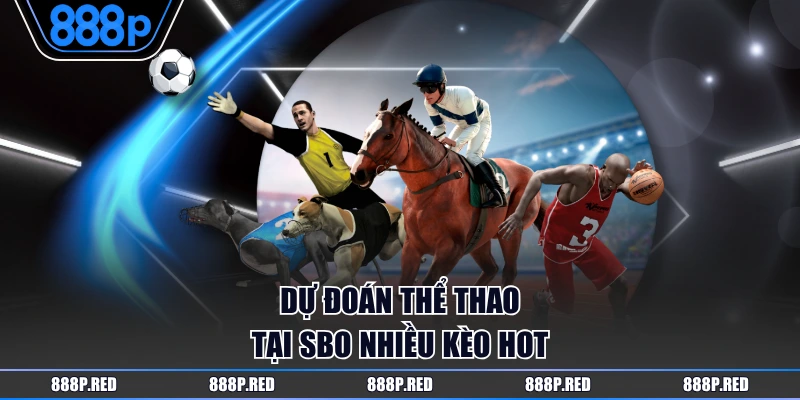 SBO Sport - Trải Nghiệm Thể Thao Đỉnh Cao Tại 888P 3 Dự đoán thể thao tại SBO nhiều kèo hot