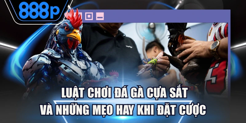 Luật Chơi Đá Gà Cựa Sắt Và Những Mẹo Hay Khi Đặt Cược