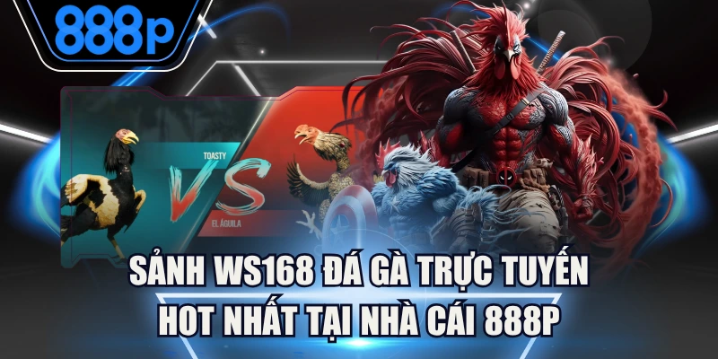 Sảnh WS168 Đá Gà Trực Tuyến Hot Nhất Tại Nhà Cái 888P